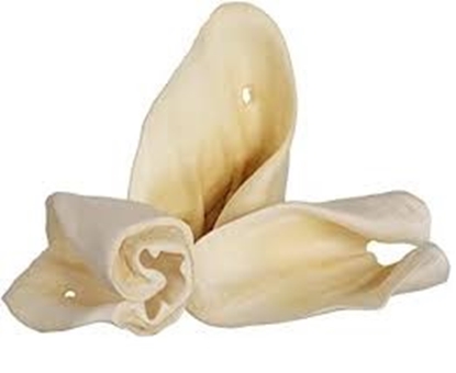 Picture of Bubimex Cow Ears for Dogs Healthy Treats & Natural Beef Chew
